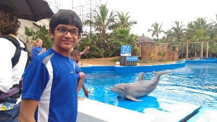 Mobirise Website Builder